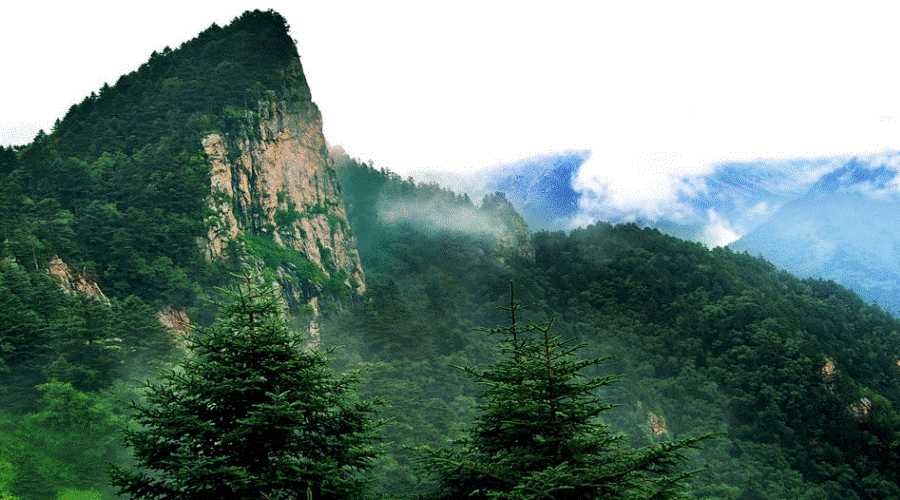 Resultado de imagem para qinling mountains